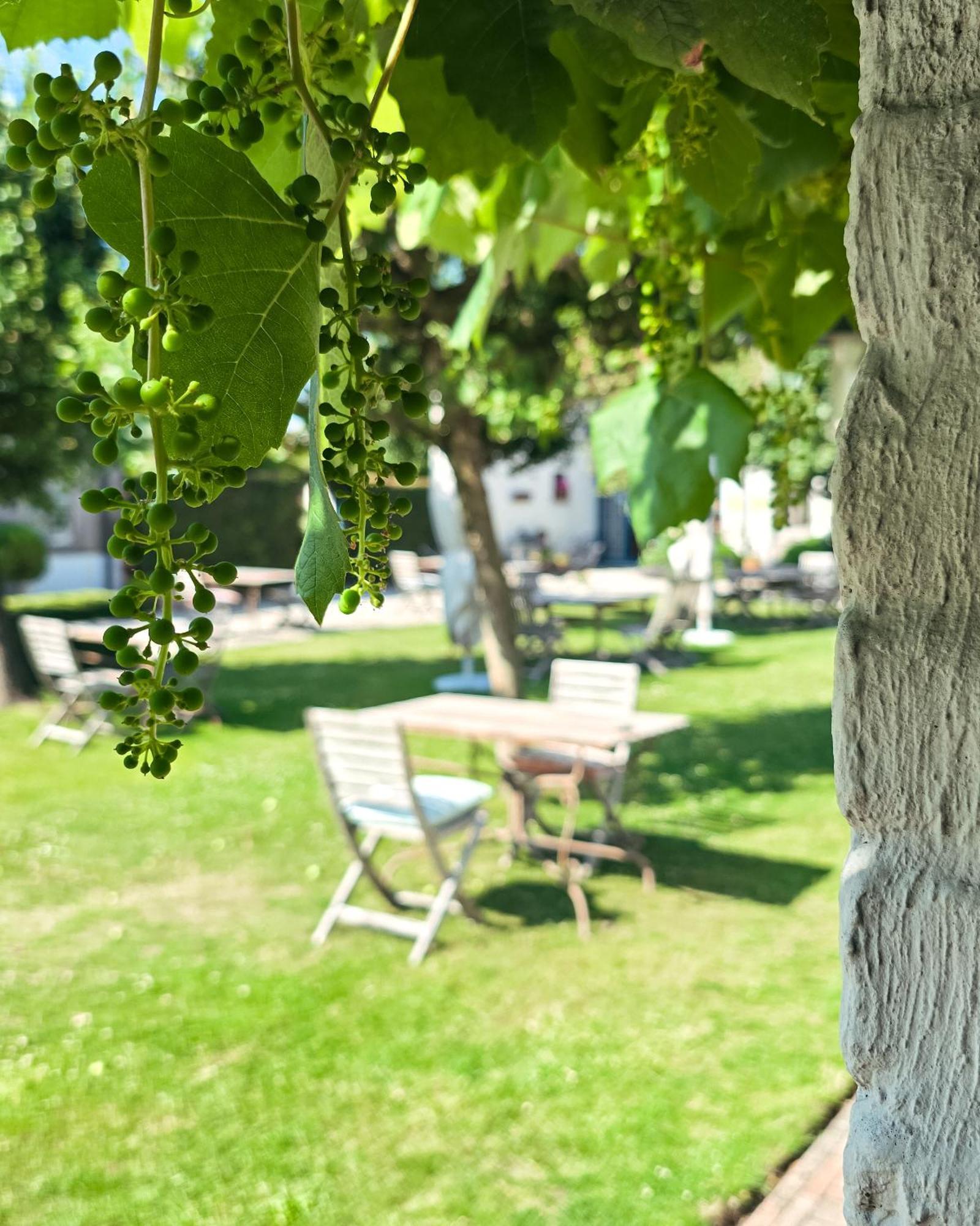 Bed & Breakfast Droomkerke 4*